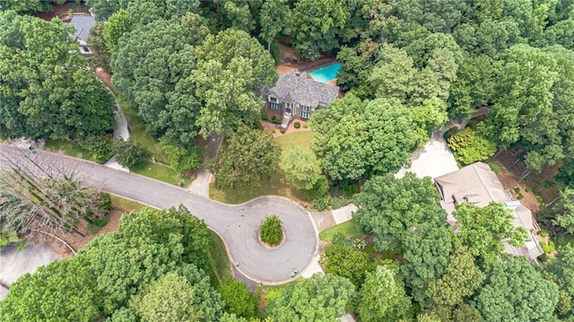 bird's eye view