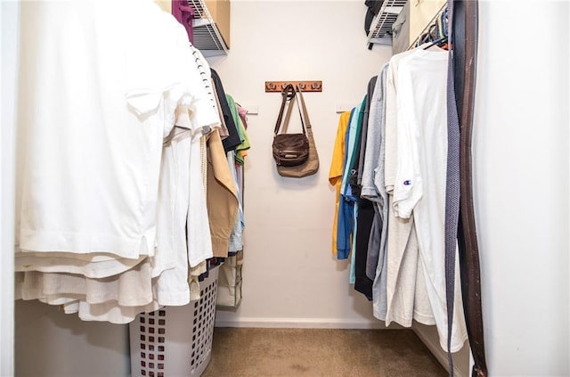 walk in closet with carpet floors