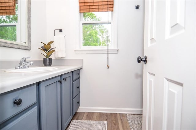 bathroom featuring vanity, baseboards, and wood finished floors
