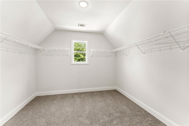 418 Brookstone Trl, Dawsonville, GA 30534 - spacious closet with carpet and lofted ceiling