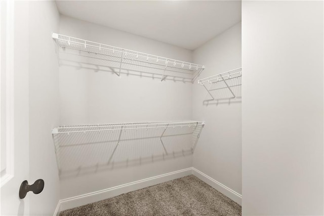 418 Brookstone Trl, Dawsonville, GA 30534 - walk in closet with carpet flooring
