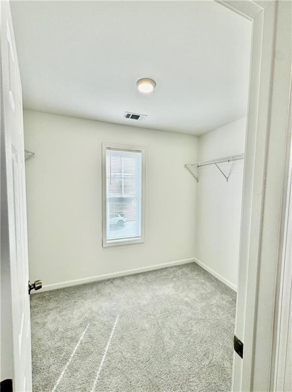 spacious closet featuring light colored carpet