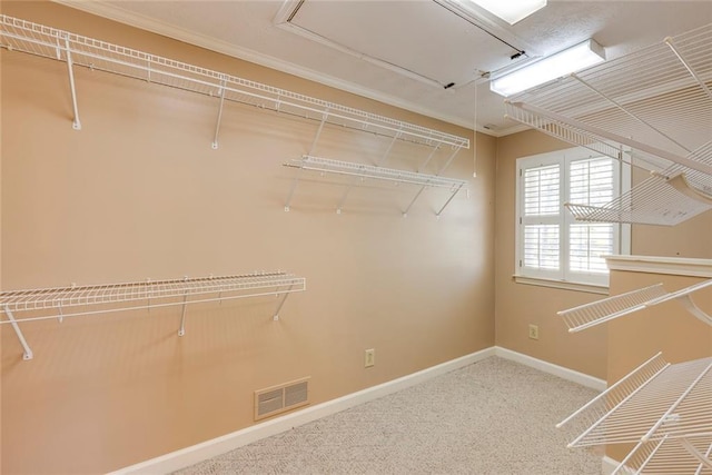 walk in closet featuring visible vents and carpet floors