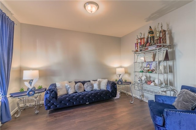 living area featuring dark hardwood / wood-style flooring