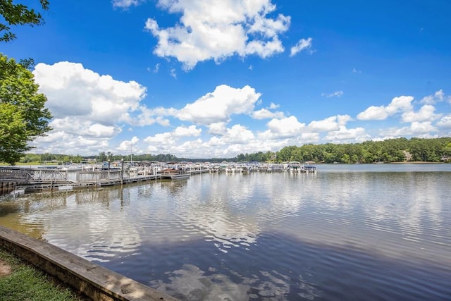 212 Westwind Dr, Newnan, GA 30263 - water view featuring a dock
