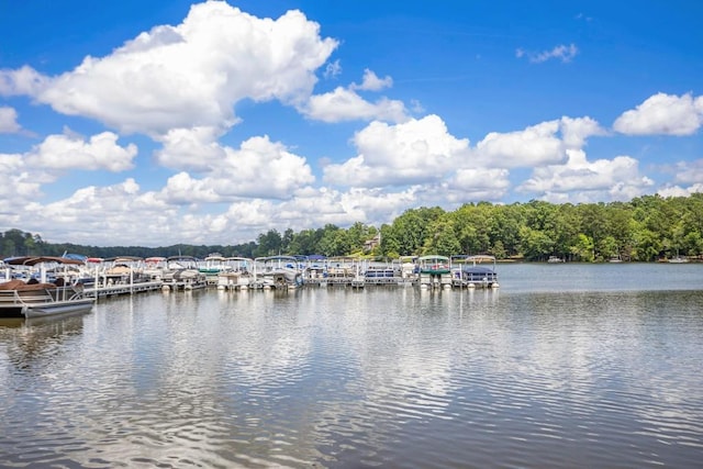 212 Westwind Dr, Newnan, GA 30263 - water view with a dock