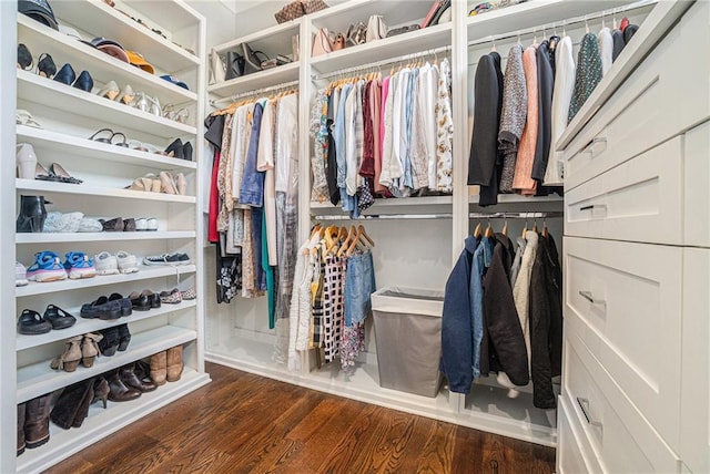 spacious closet with wood finished floors