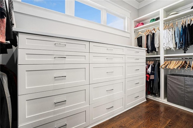 walk in closet with dark wood-style flooring