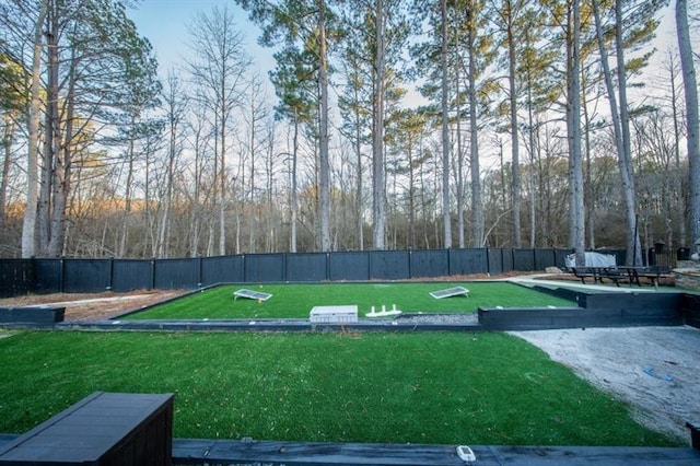149 Avalon Way, Sharpsburg, GA 30277 - view of yard