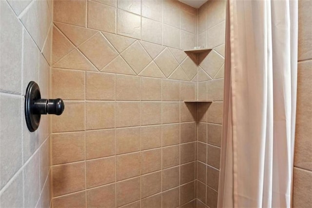 929 Hickory Nut Mountain Rd, Tallulah Falls, GA 30573 - bathroom view of tiled shower