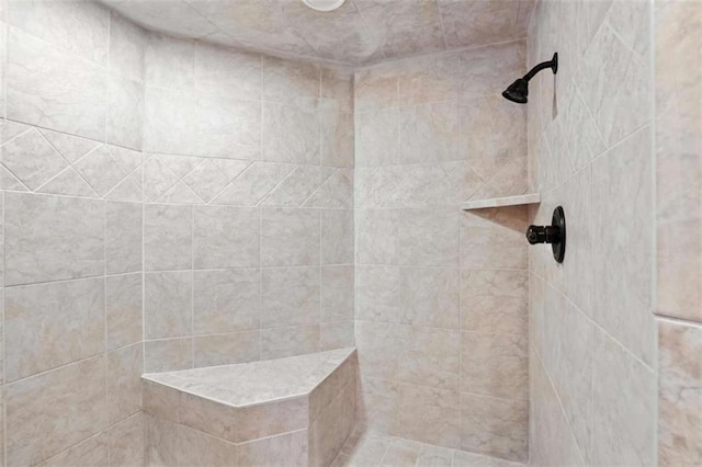 929 Hickory Nut Mountain Rd, Tallulah Falls, GA 30573 - bathroom featuring tiled shower