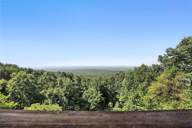 929 Hickory Nut Mountain Rd, Tallulah Falls, GA 30573 - view of woods