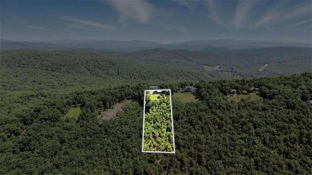 929 Hickory Nut Mountain Rd, Tallulah Falls, GA 30573 - aerial view of property's location featuring property boundaries highlighted