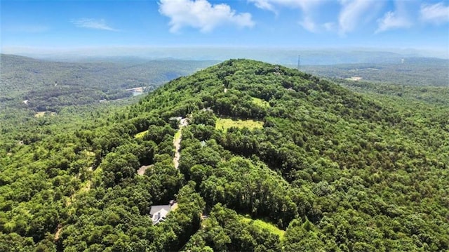 929 Hickory Nut Mountain Rd, Tallulah Falls, GA 30573 - aerial view of a forest