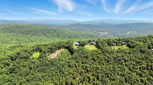 929 Hickory Nut Mountain Rd, Tallulah Falls, GA 30573 - view of mountain backdrop featuring a heavily wooded area