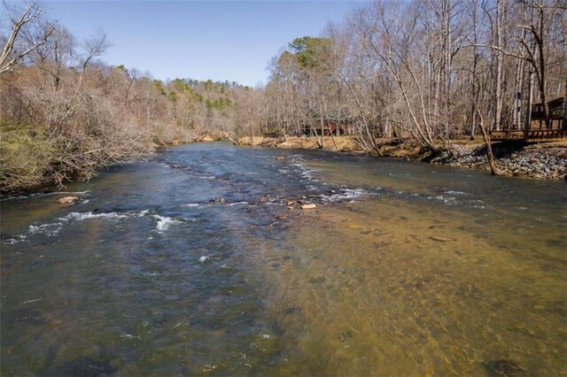 342 Zenith Trl, Ellijay, GA 30540 - water view