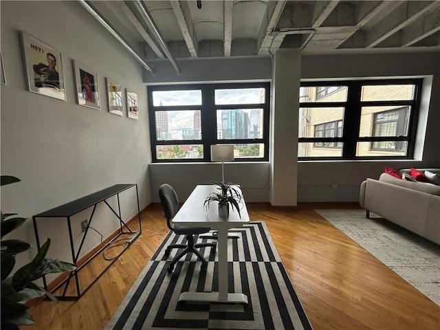 dining space featuring light hardwood / wood-style floors and plenty of natural light