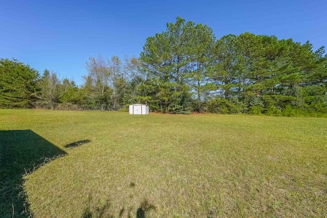 view of yard with a shed