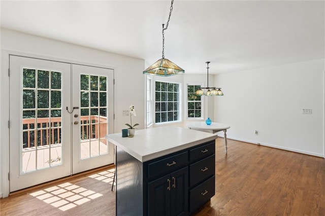 86 Sleepy Hollow Rd, Dahlonega, GA 30533 - kitchen with dark cabinets, french doors, plenty of natural light, and wood finished floors