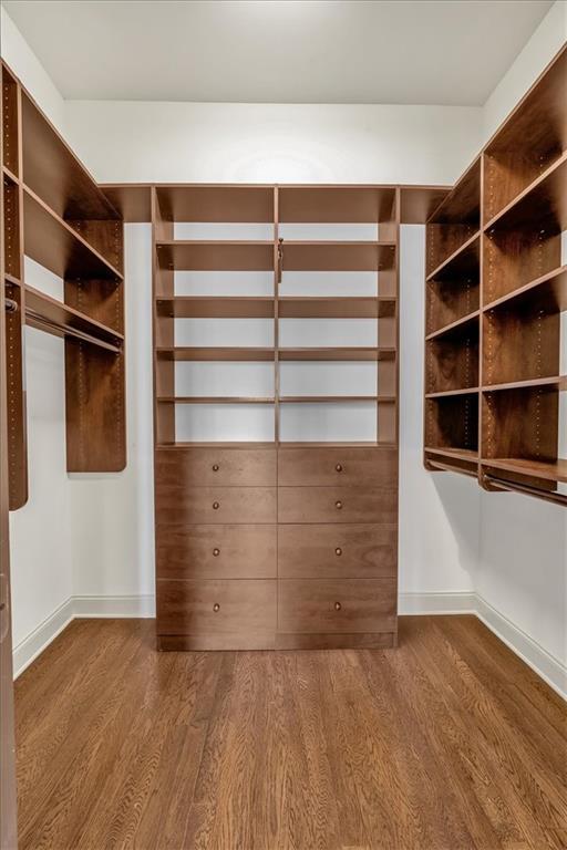 spacious closet featuring wood-type flooring