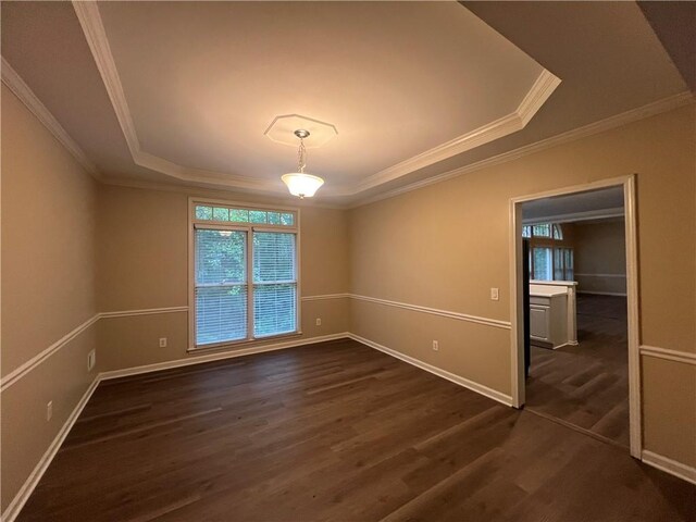 spare room with dark hardwood / wood-style flooring, a tray ceiling, and ornamental molding