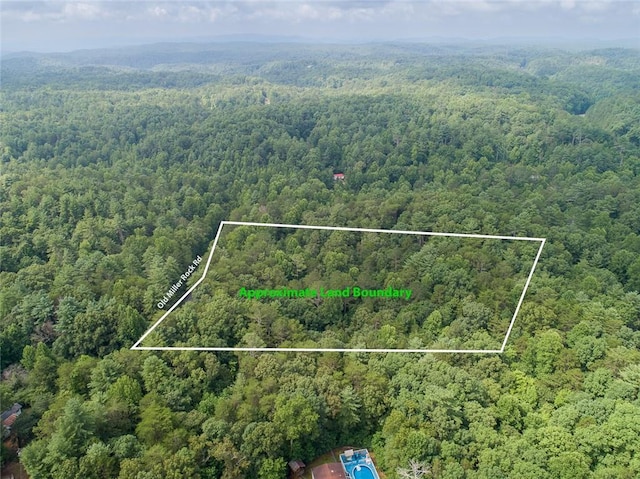 0 Old Miller Rock Rd, Ellijay GA, 30540 land for sale