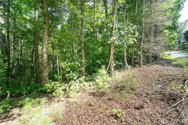 Listing photo 2 for 0 Old Miller Rock Rd, Ellijay GA 30540