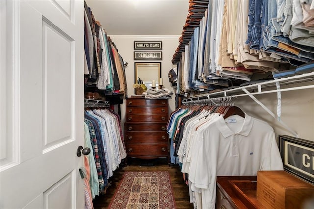 spacious closet with wood finished floors