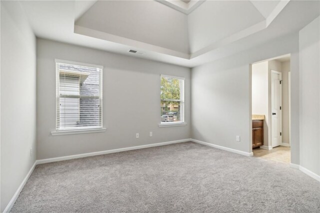 spare room with light colored carpet and a raised ceiling