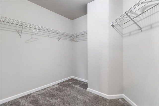 spacious closet with dark colored carpet