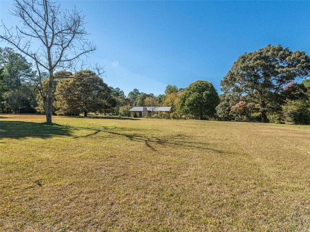 view of yard with a rural view