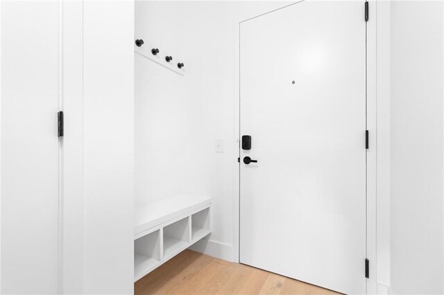567 Ponce De Leon Ave NE Unit 606, Atlanta, GA 30308 - mudroom with light wood-type flooring