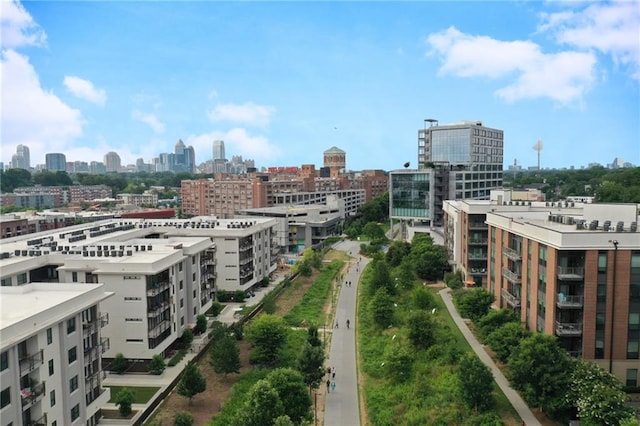 567 Ponce De Leon Ave NE Unit 606, Atlanta, GA 30308 - skyline view