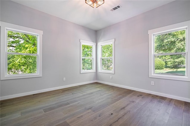 unfurnished room featuring hardwood / wood-style flooring and a healthy amount of sunlight