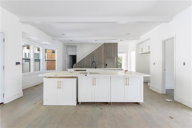 kitchen with a kitchen island with sink, a healthy amount of sunlight, and light hardwood / wood-style floors