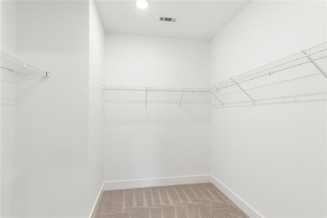 1032 Robert Smalls Way, Atlanta, GA 30318 - walk in closet featuring carpet