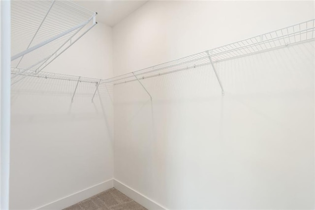 1032 Robert Smalls Way, Atlanta, GA 30318 - walk in closet featuring carpet floors