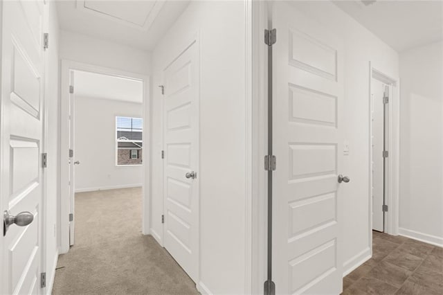 hallway featuring carpet flooring