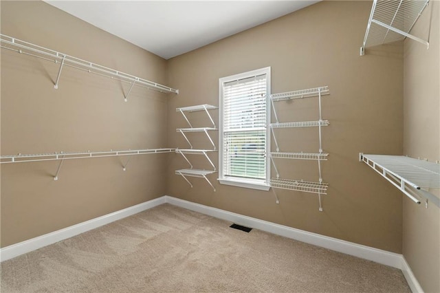 spacious closet with carpet flooring