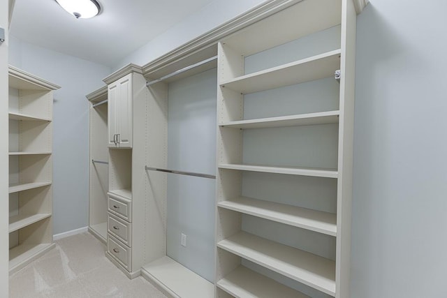 7405 Brookstone Way, Flowery Branch, GA 30542 - view of walk in closet