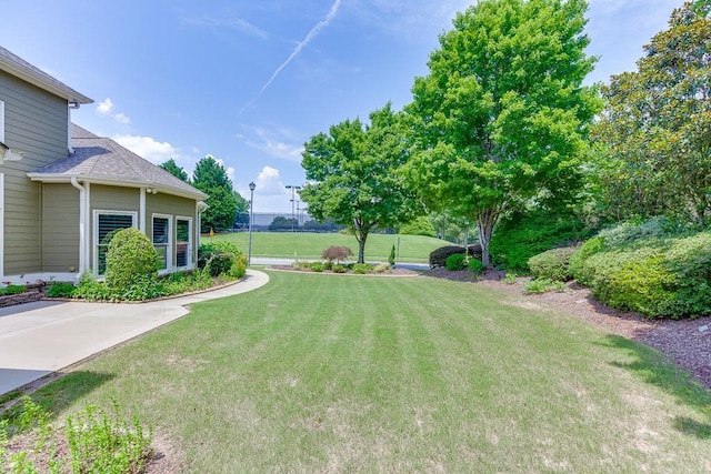 7405 Brookstone Way, Flowery Branch, GA 30542 - view of green lawn