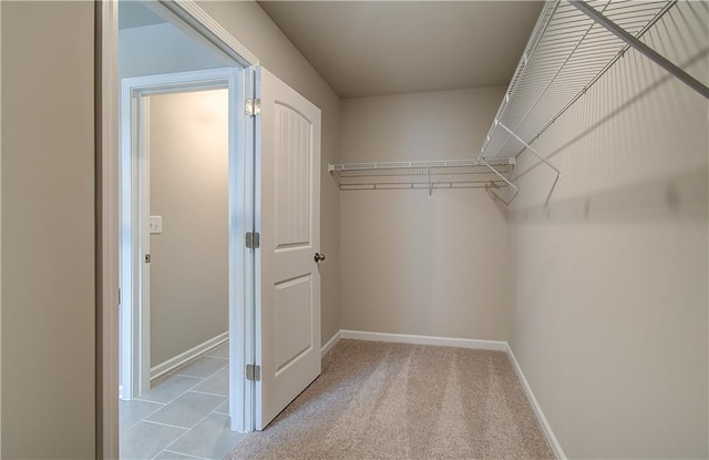 251 Arnewood Cir, Mcdonough, GA 30253 - view of walk in closet