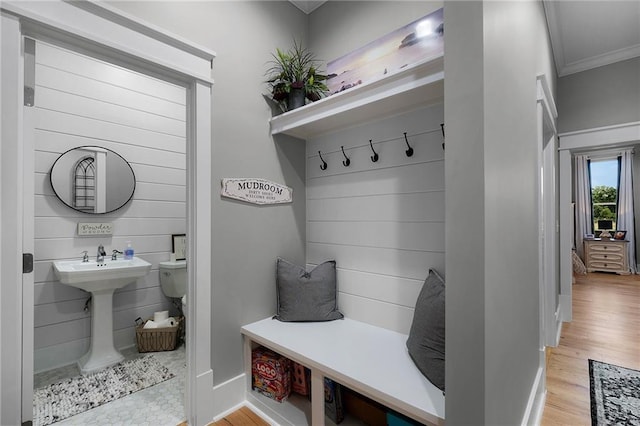 mudroom with sink, crown molding, and light hardwood / wood-style flooring