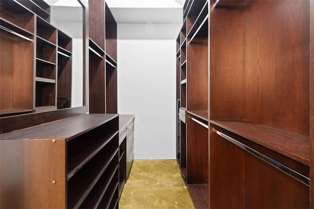 660 Glen Iris Drive # 206 & 109, Atlanta, GA 30308 - view of walk in closet