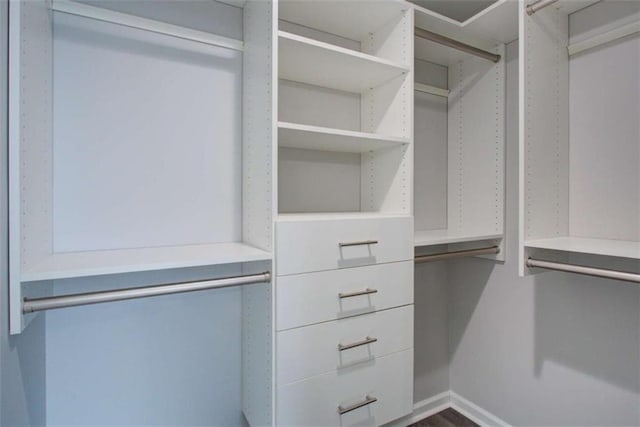 view of walk in closet