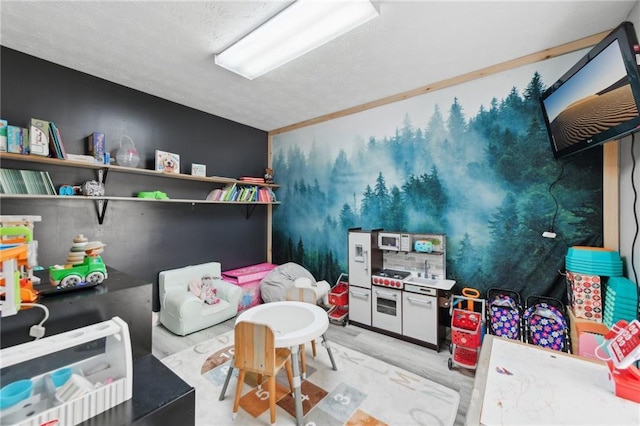 219 Summit Chase Dr, Jefferson, GA 30549 - interior space featuring light wood finished floors and a textured ceiling