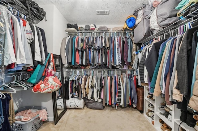 219 Summit Chase Dr, Jefferson, GA 30549 - walk in closet featuring carpet floors