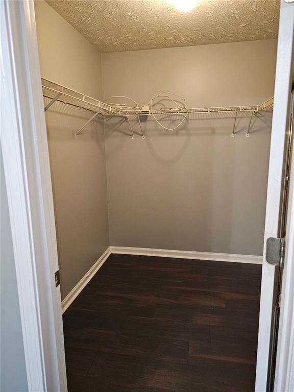 spacious closet with dark hardwood / wood-style flooring