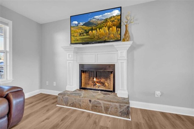 living room with a fireplace and light hardwood / wood-style floors