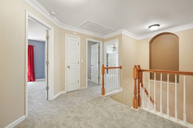 corridor featuring light colored carpet and crown molding